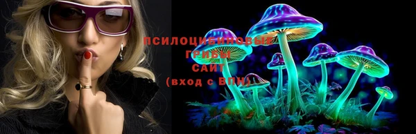 бошки Алексин