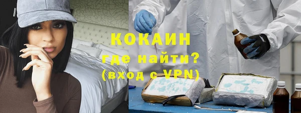 дживик Абаза