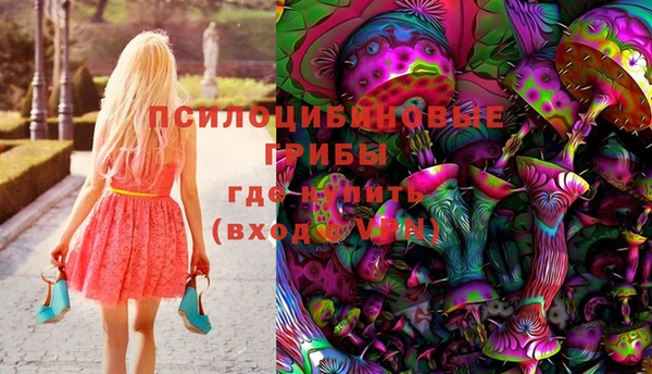 бошки Алексин