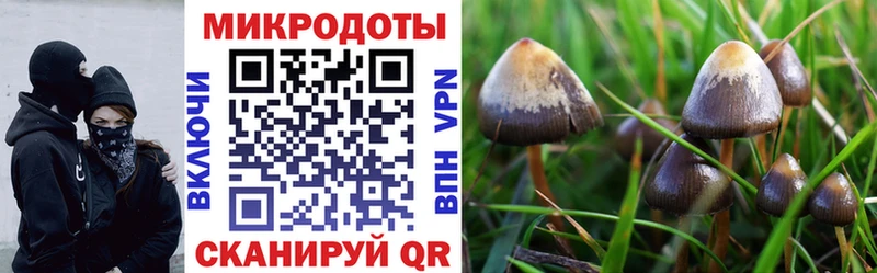 нарко площадка официальный сайт  Белоозёрский  Галлюциногенные грибы MAGIC MUSHROOMS  МЕГА зеркало 